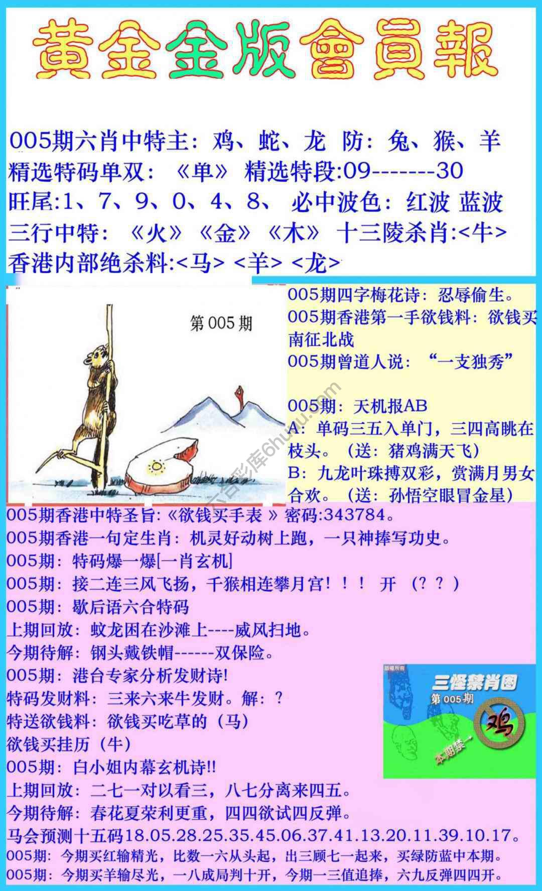 黄金金版会员报