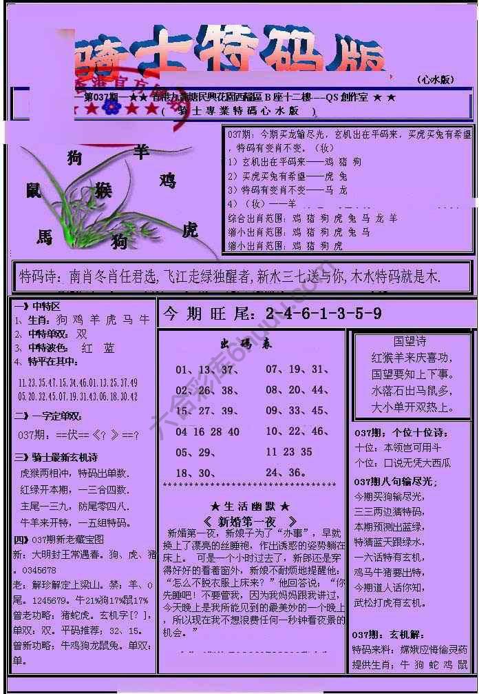 另类骑士特码版