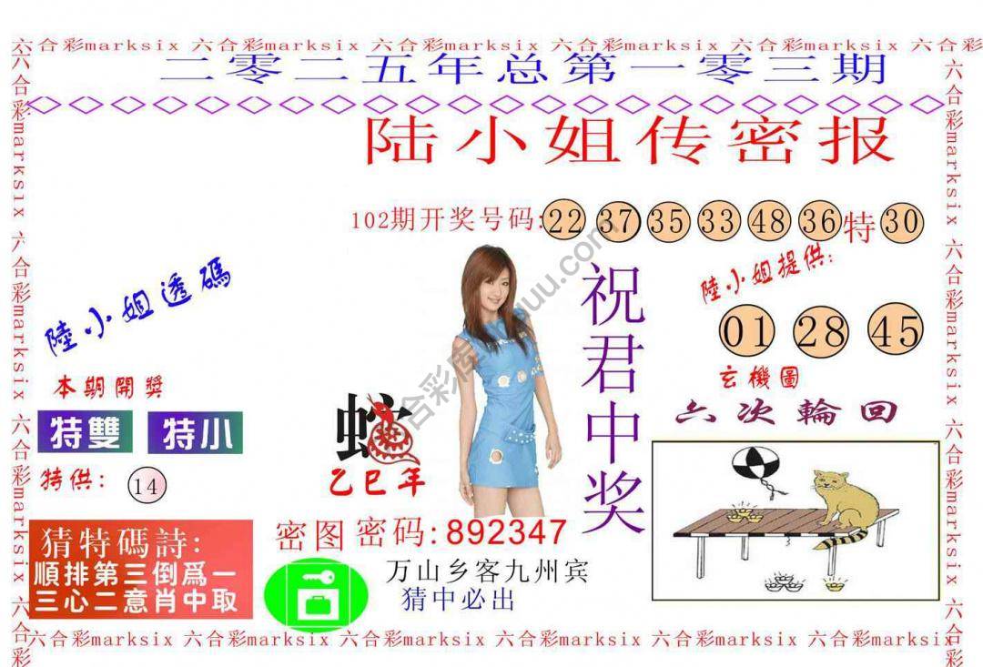 陆小姐传密