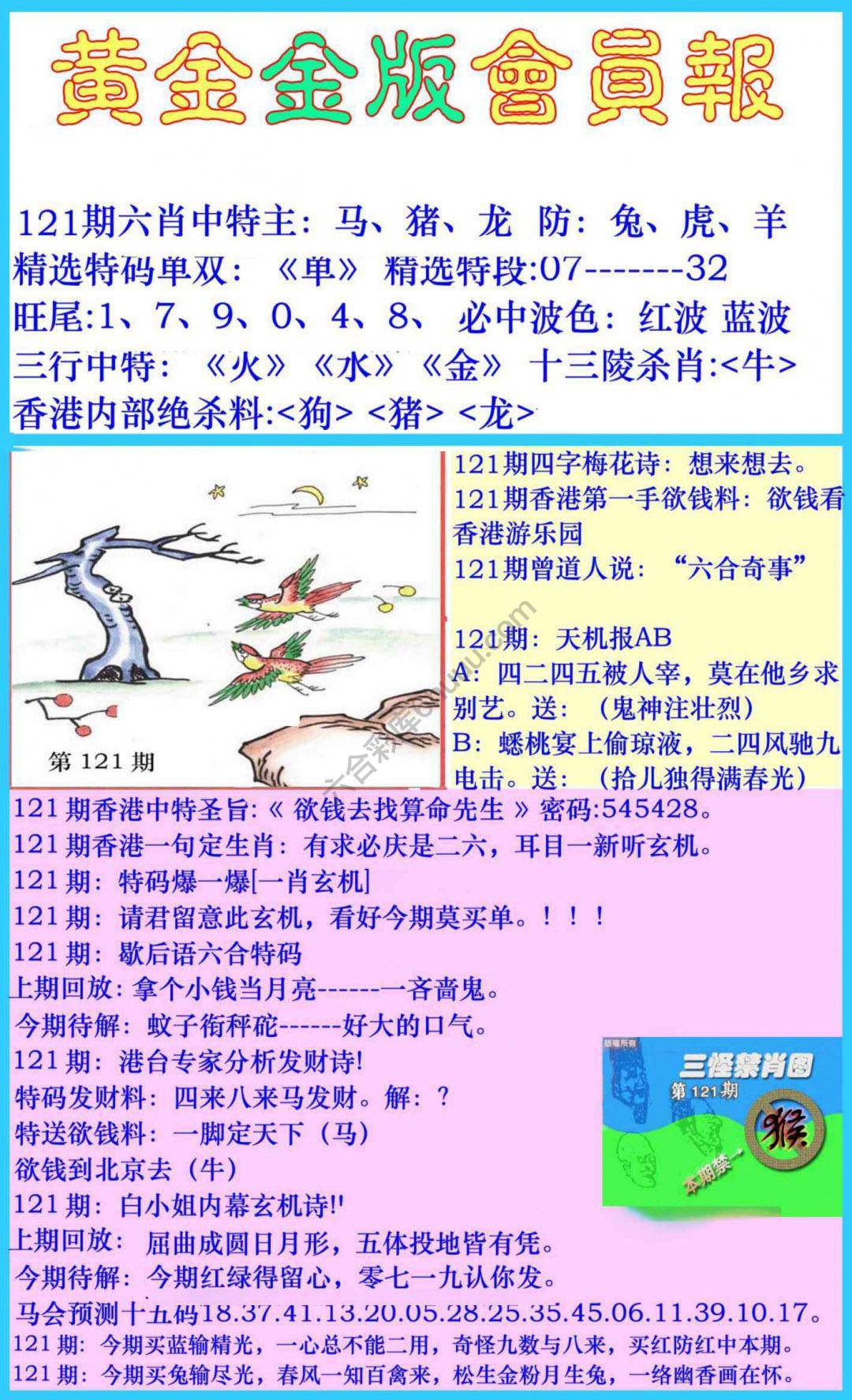 黄金金版会员报