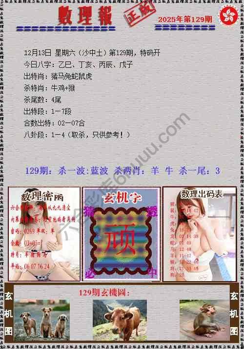 数理报