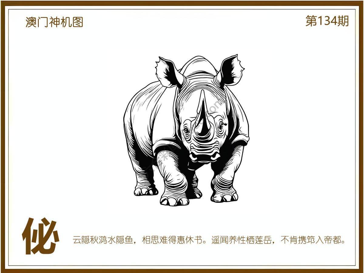 澳门神机图