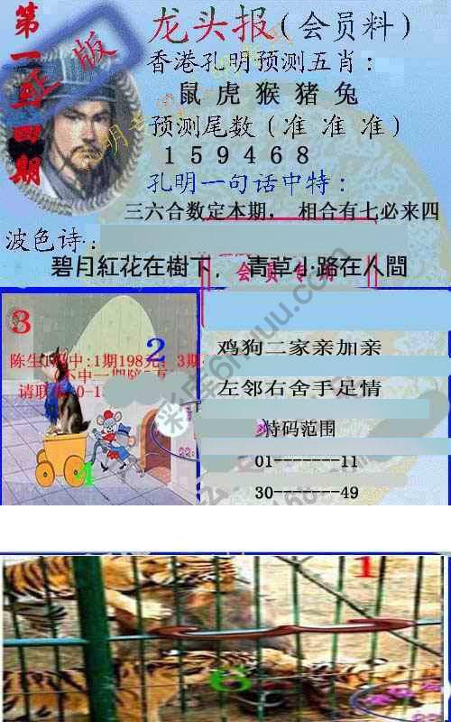 龙头报