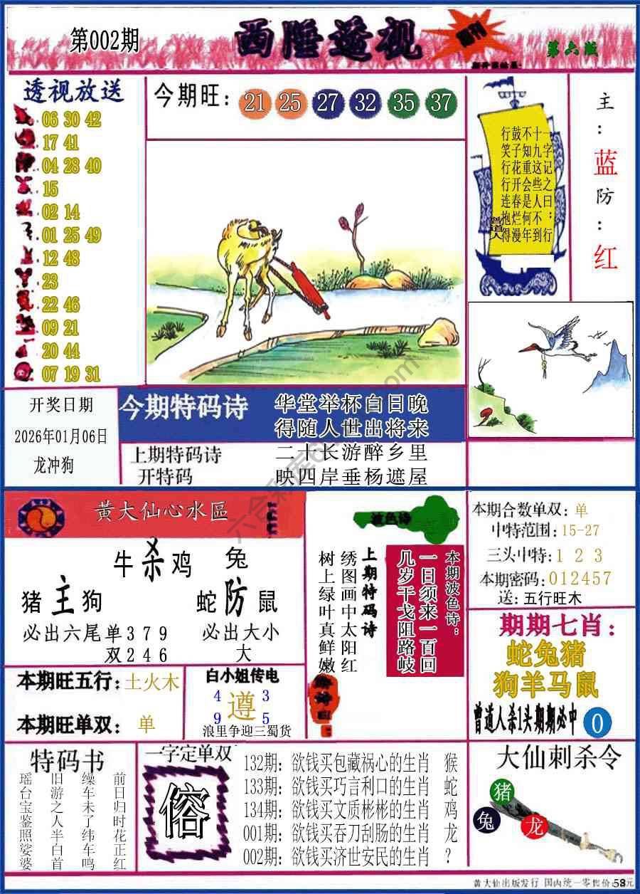 西陲透视（正版）