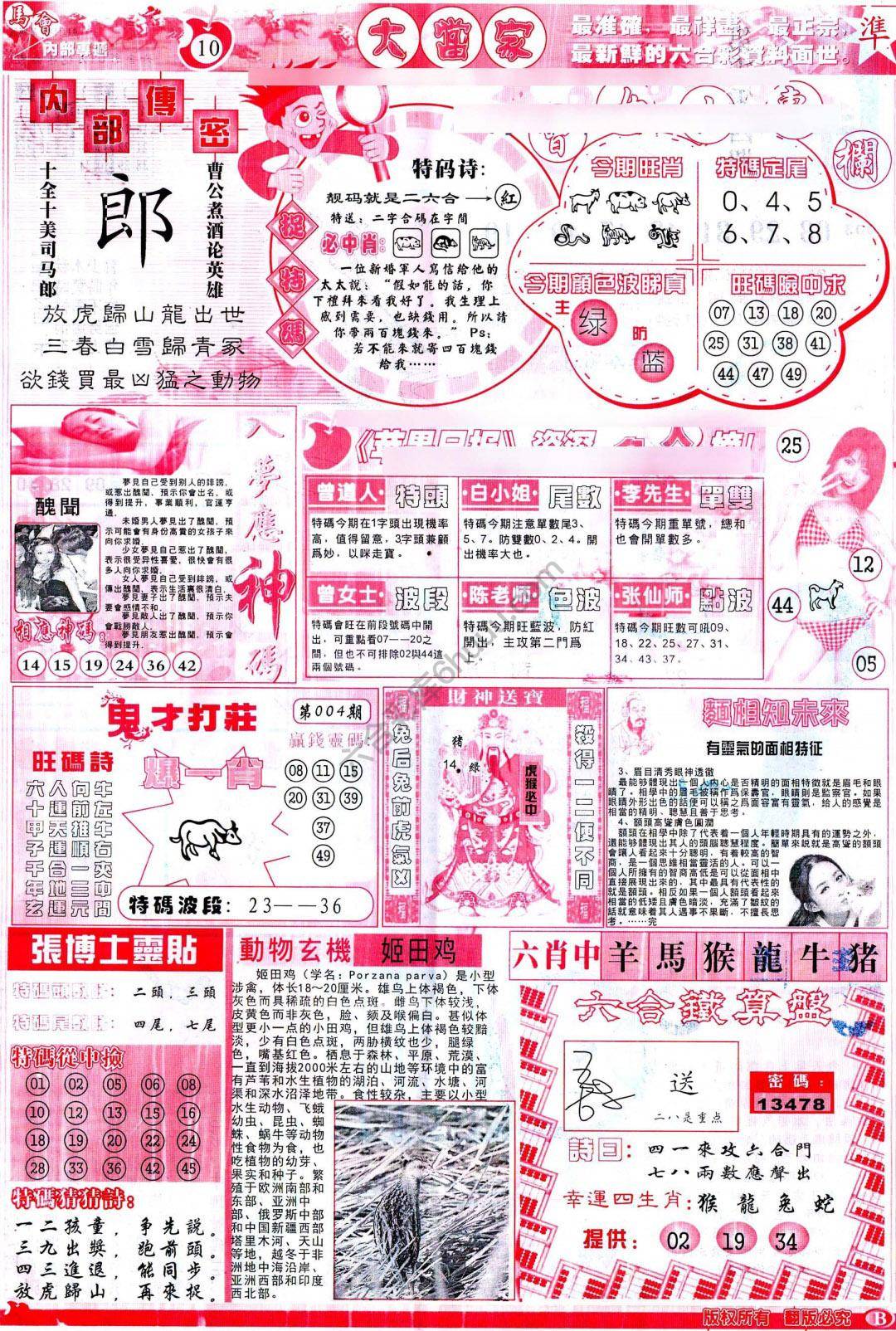 大当家