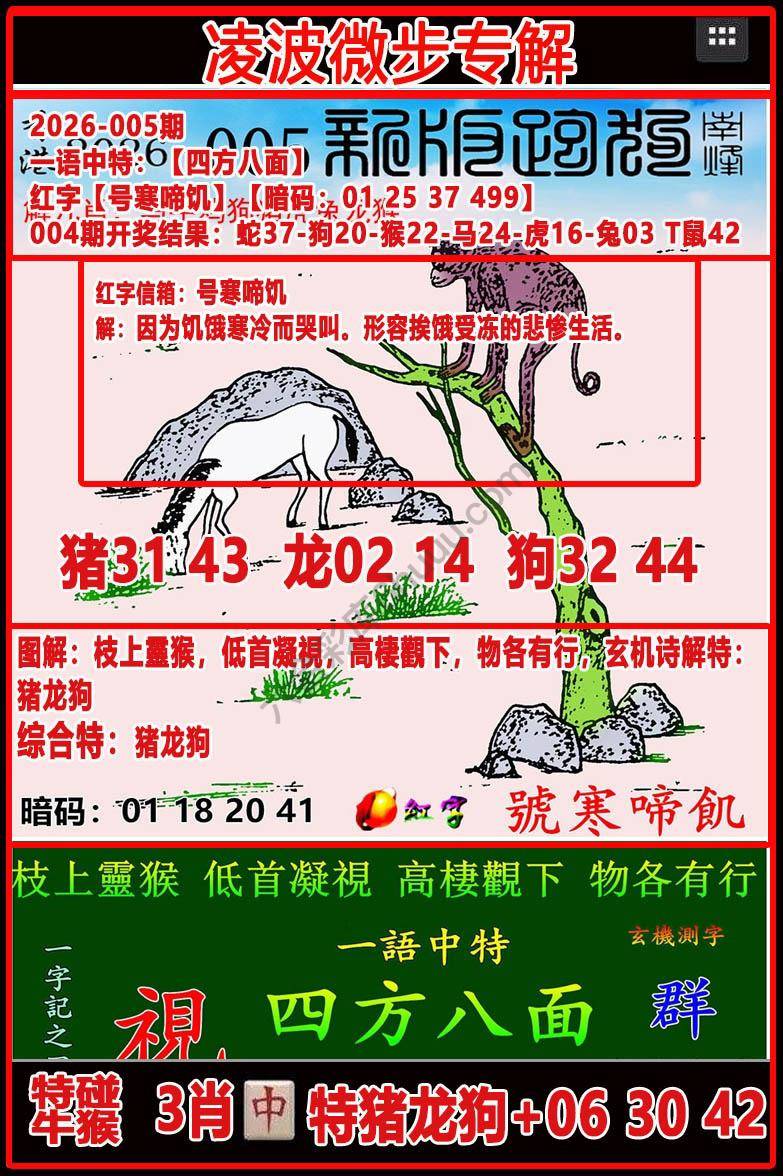 凌波微步解跑狗