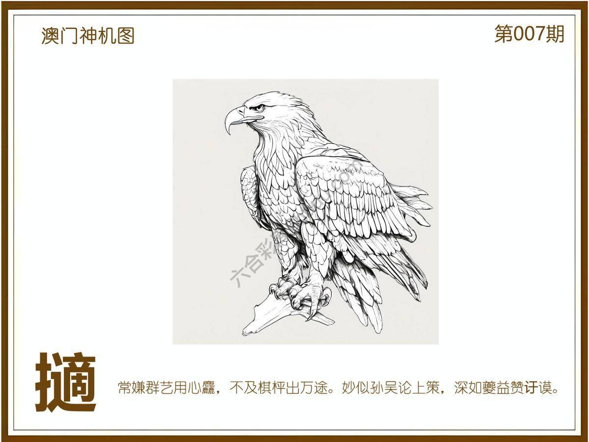澳门神机图