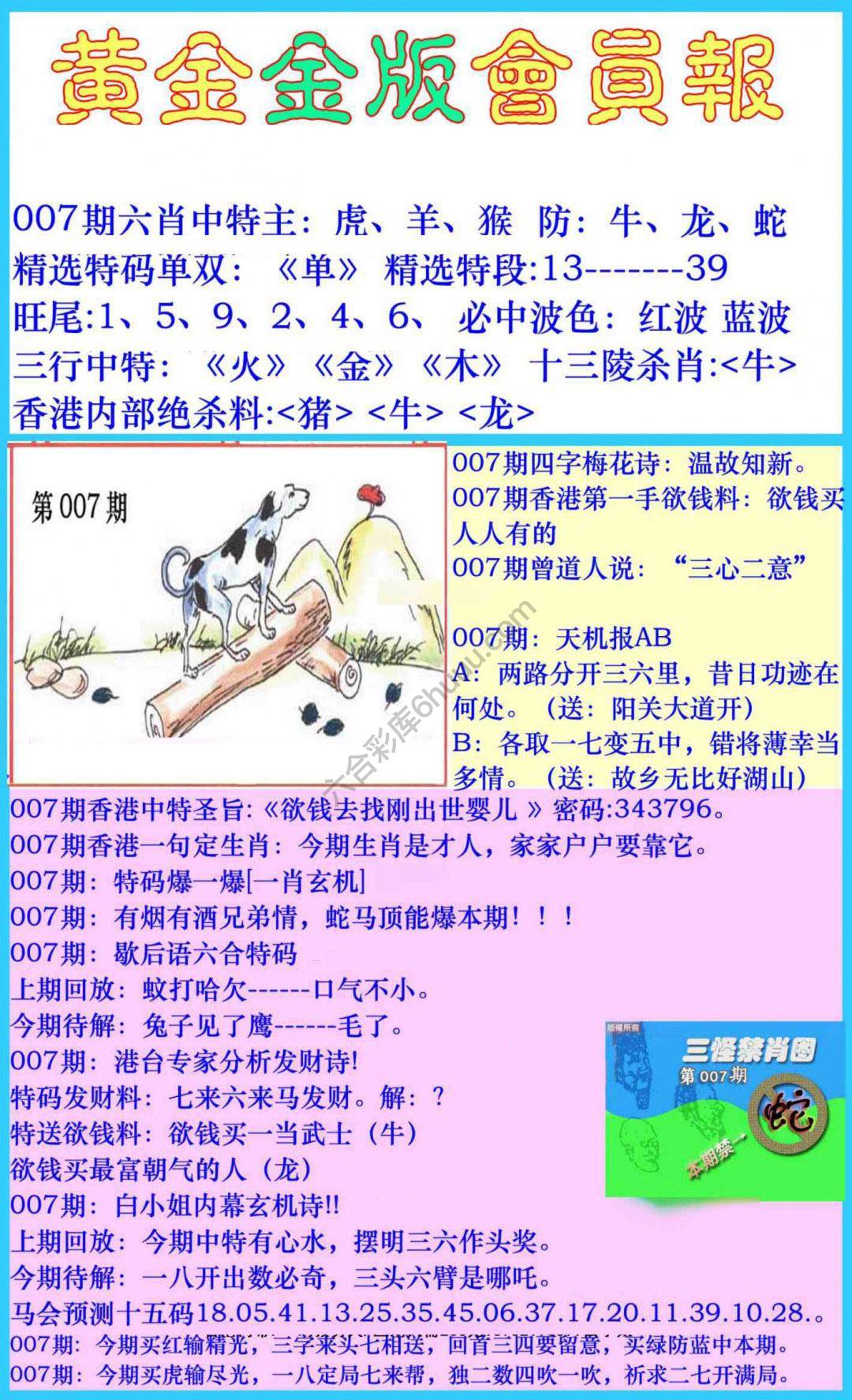 黄金金版会员报