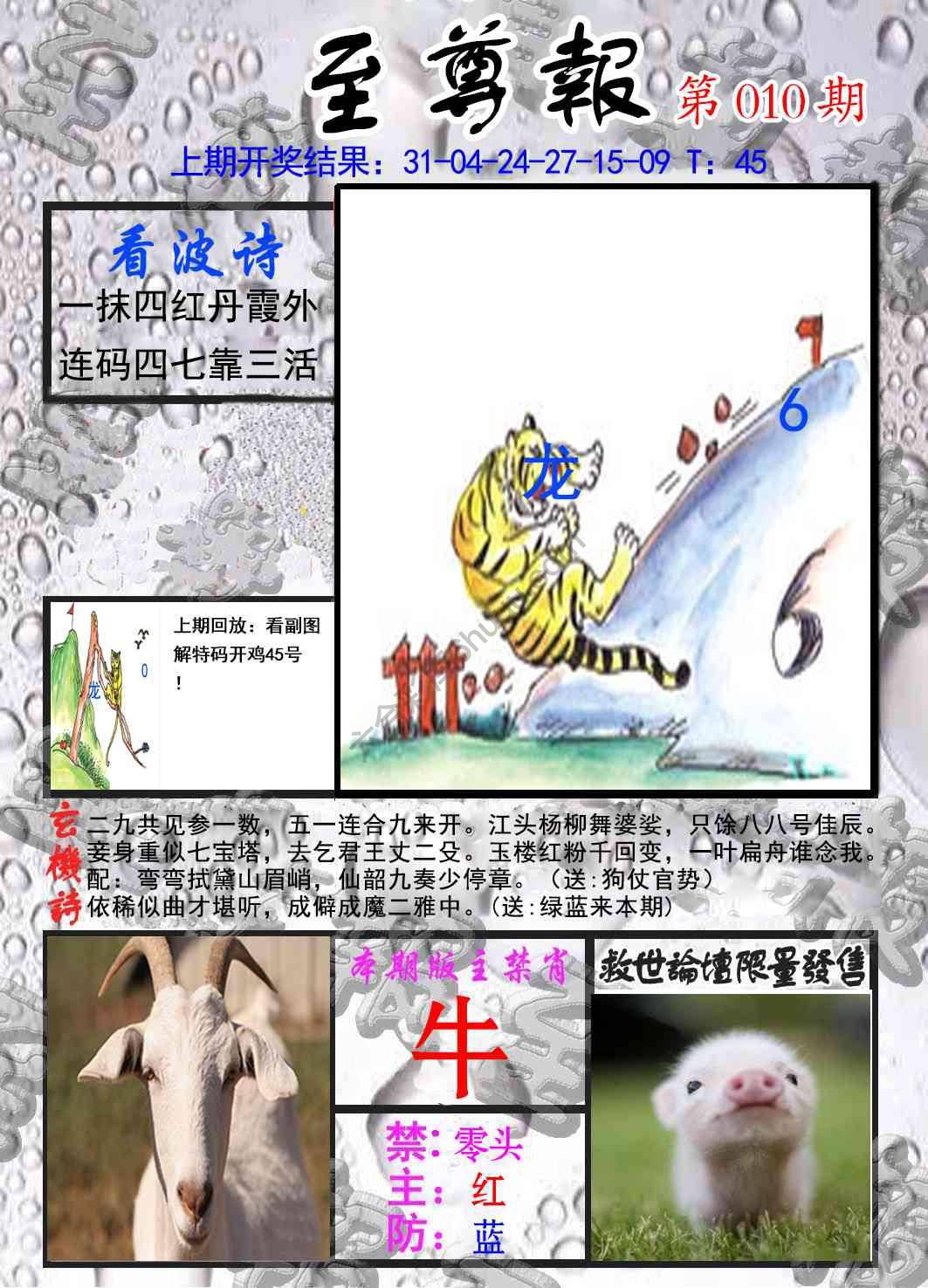 至尊报