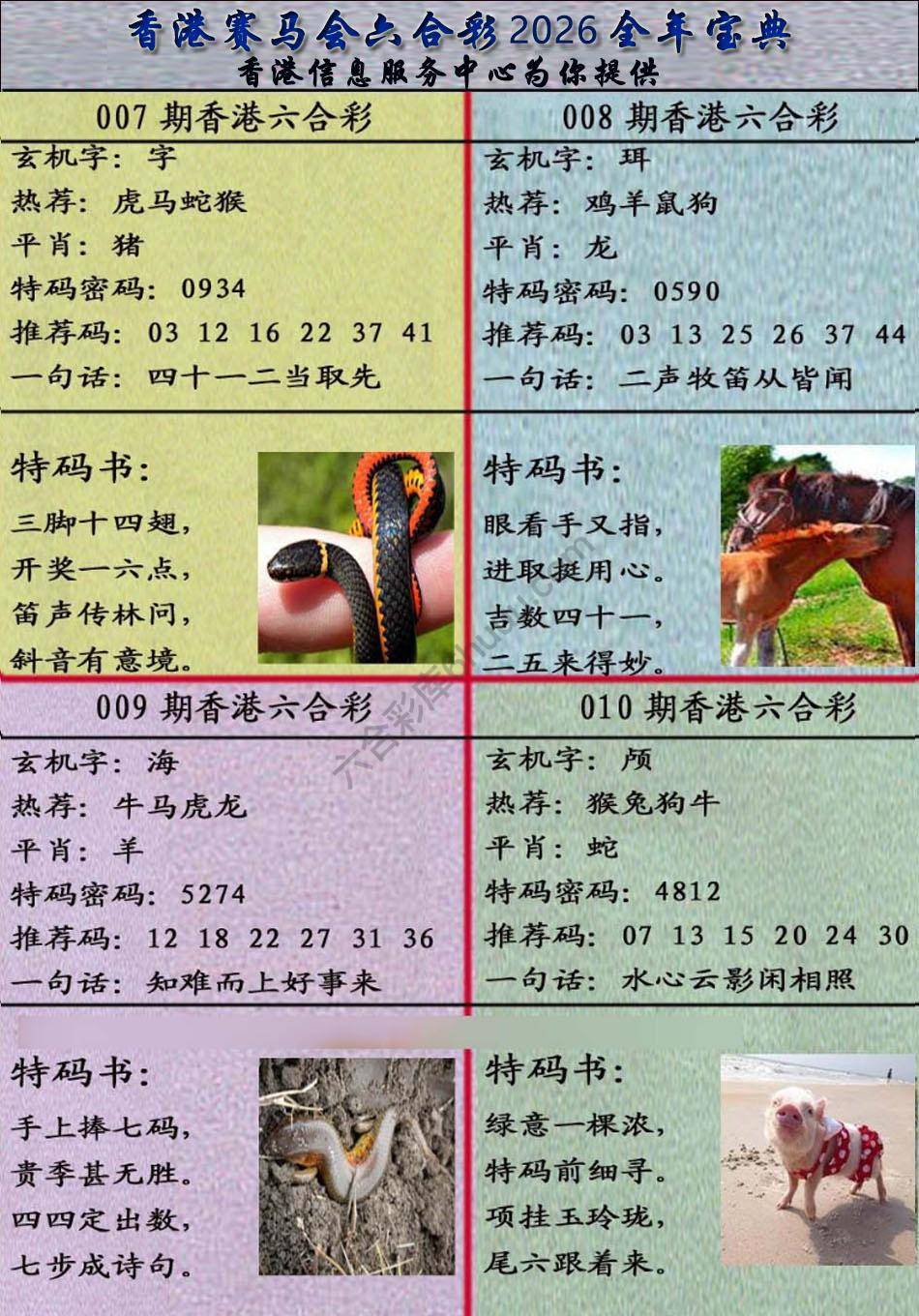 宝典报
