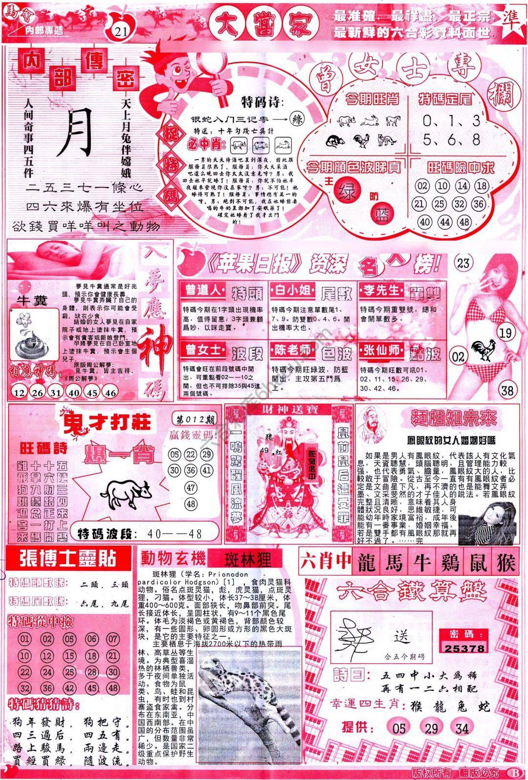 大当家