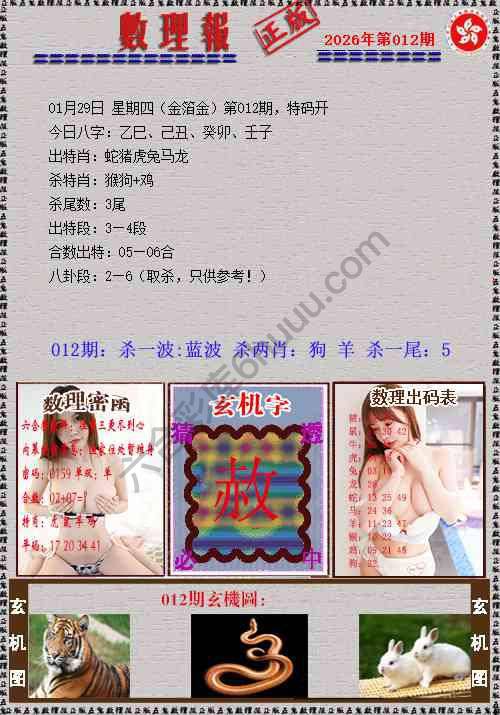 数理报