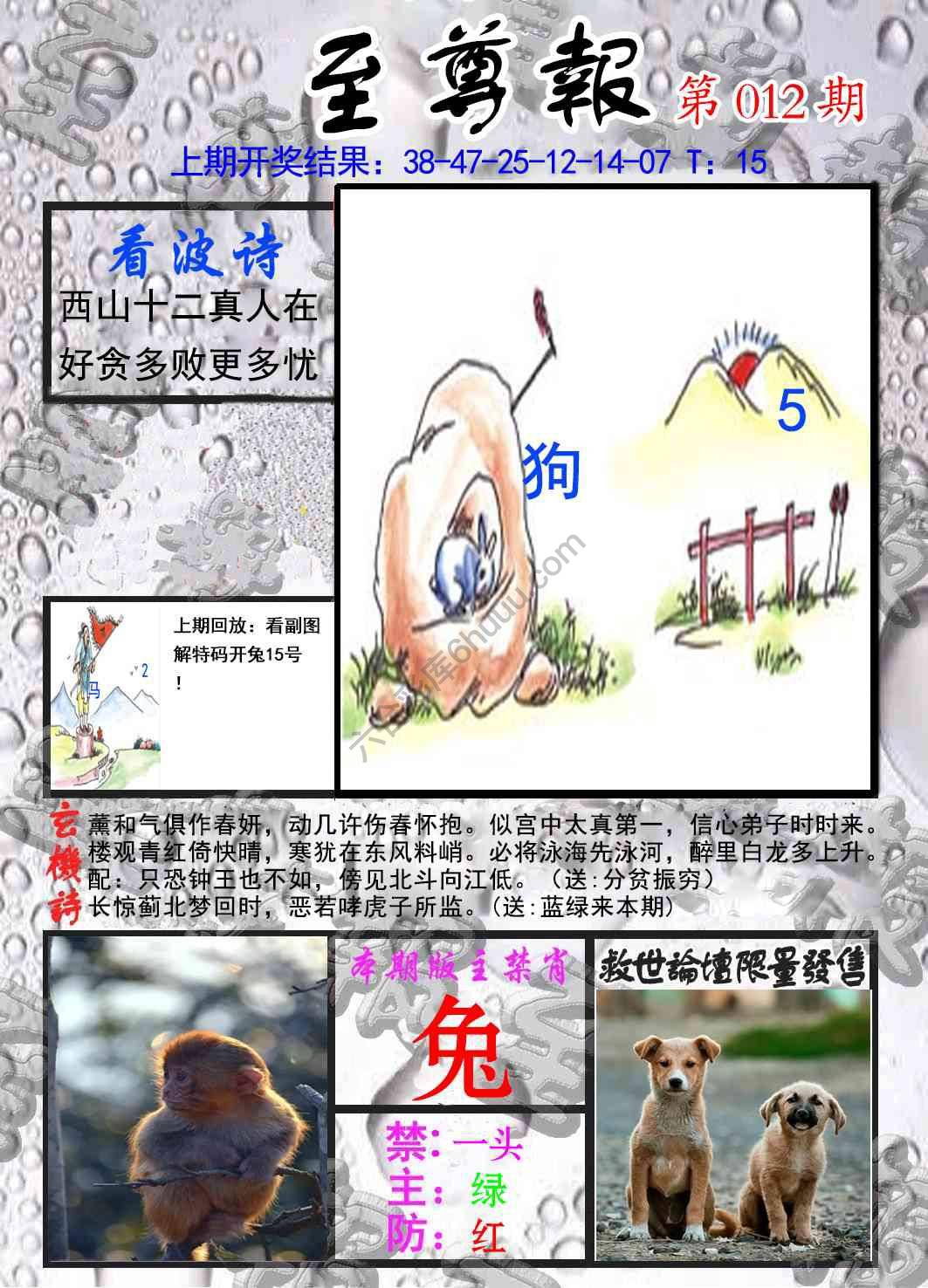 至尊报