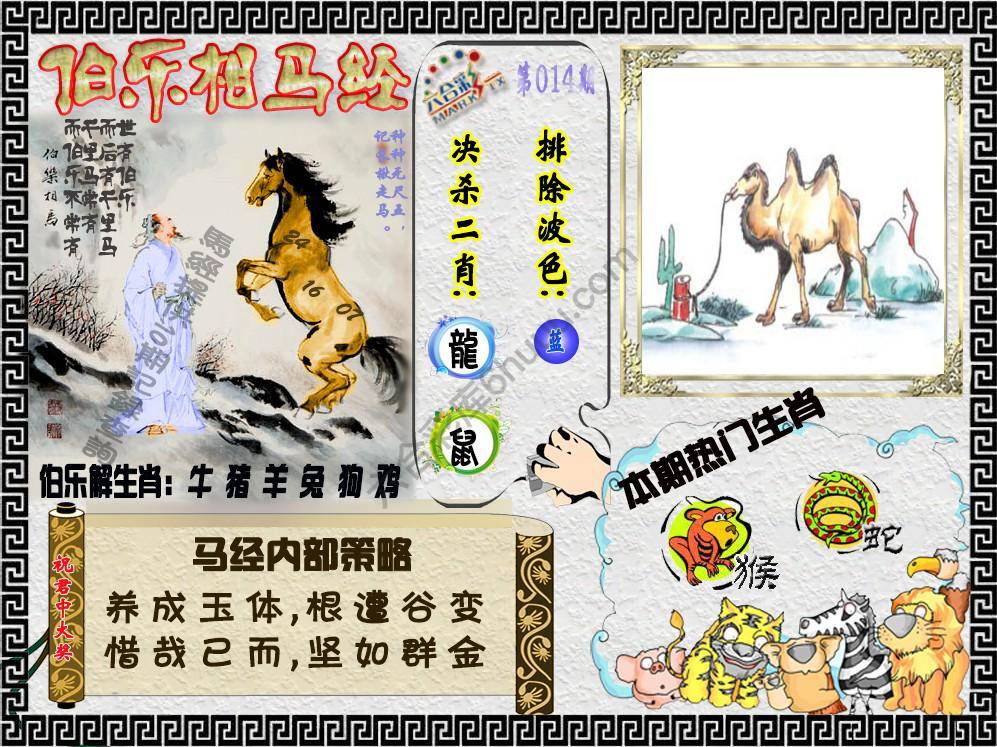 伯乐相马经