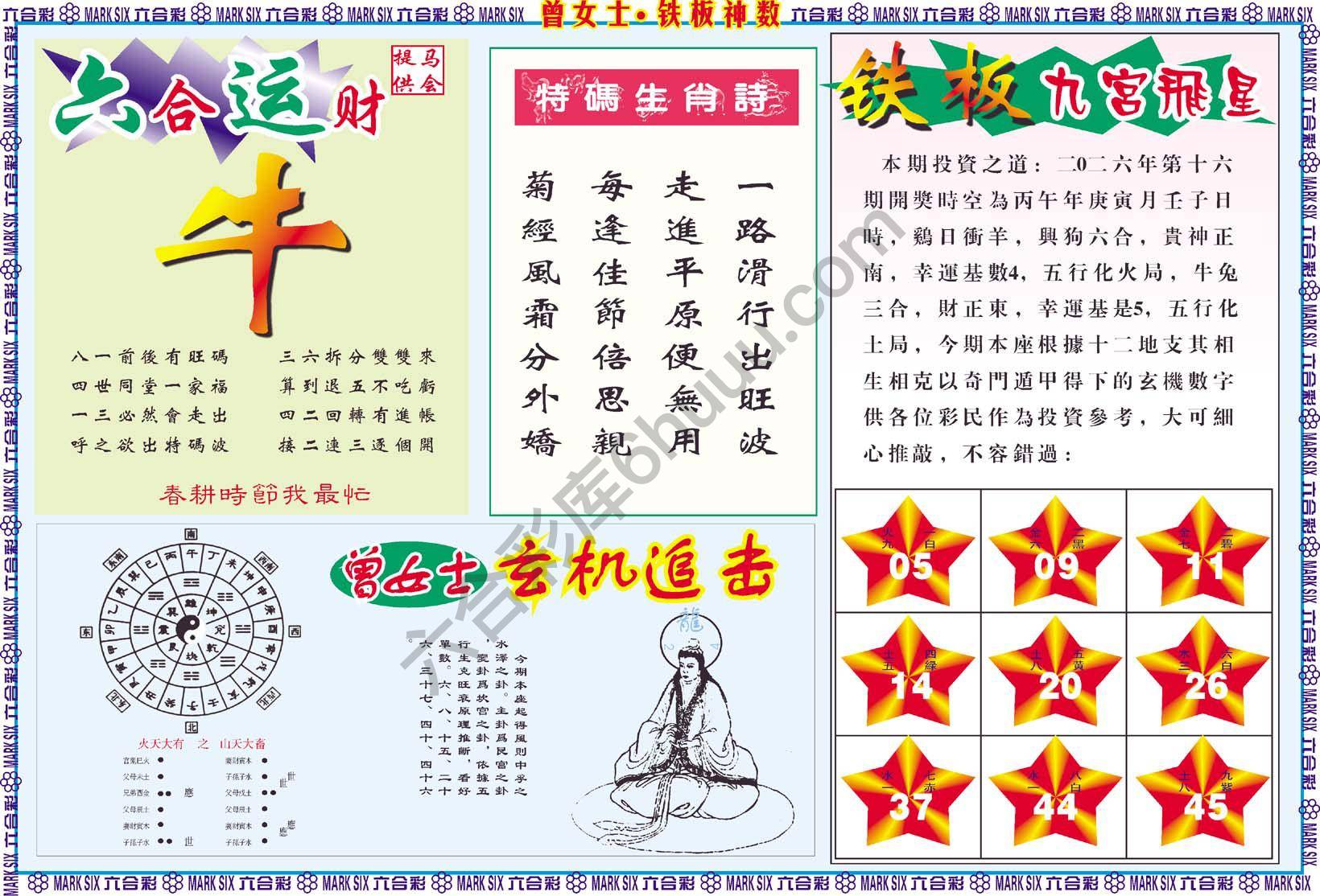 曾女士铁板神数