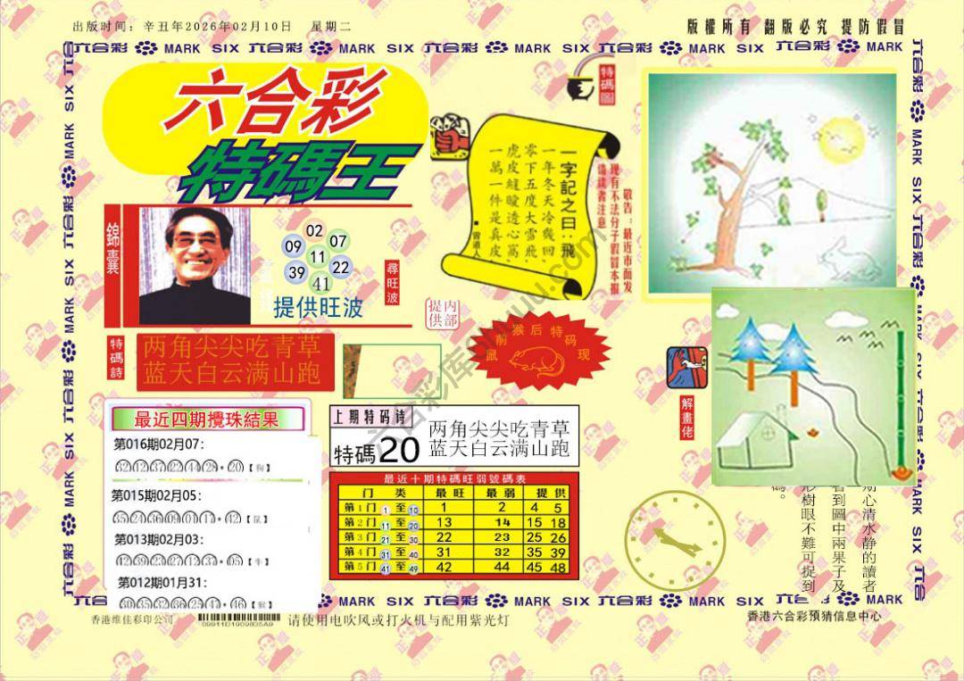 特码王