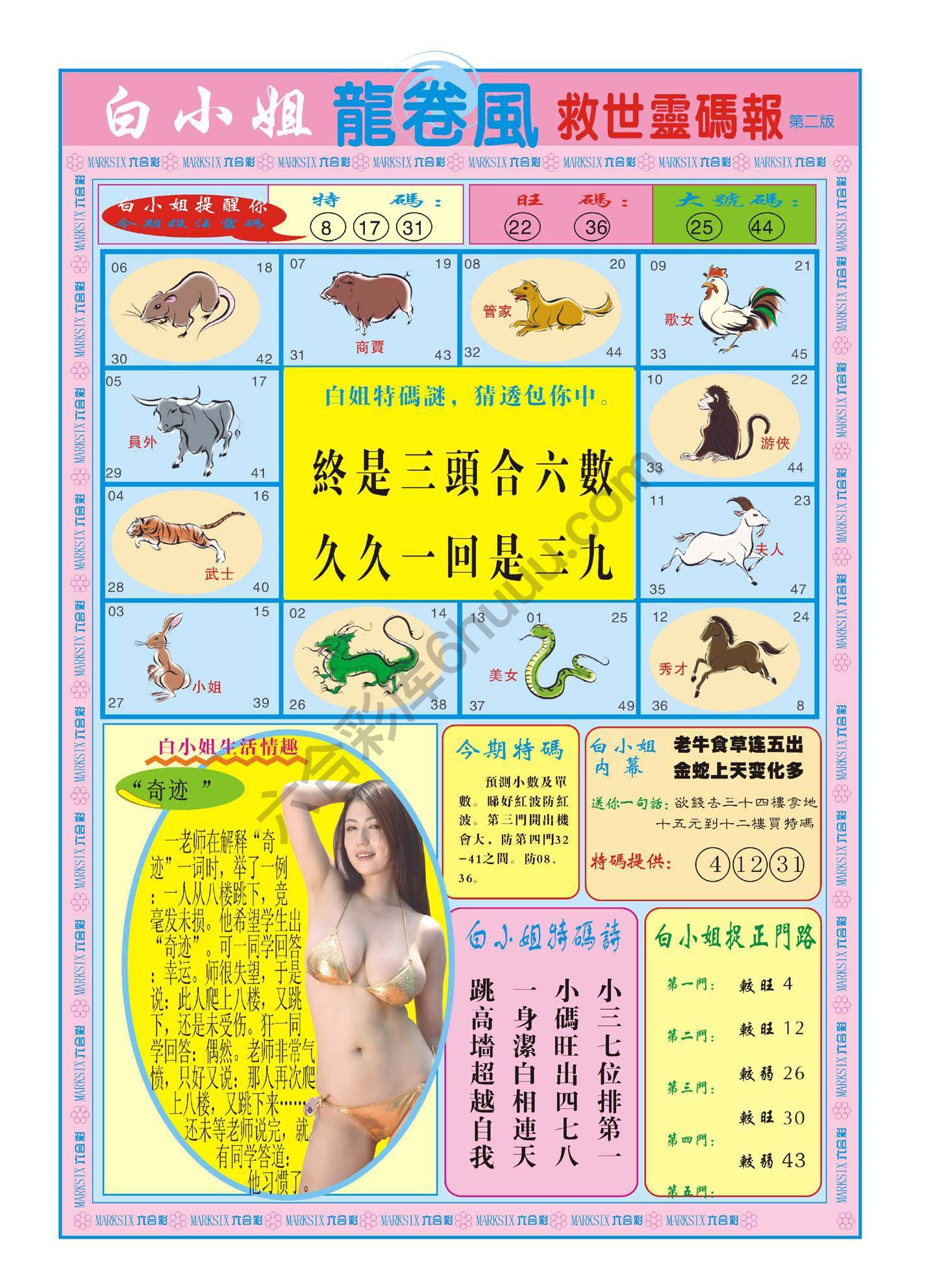 白小姐救世灵码报