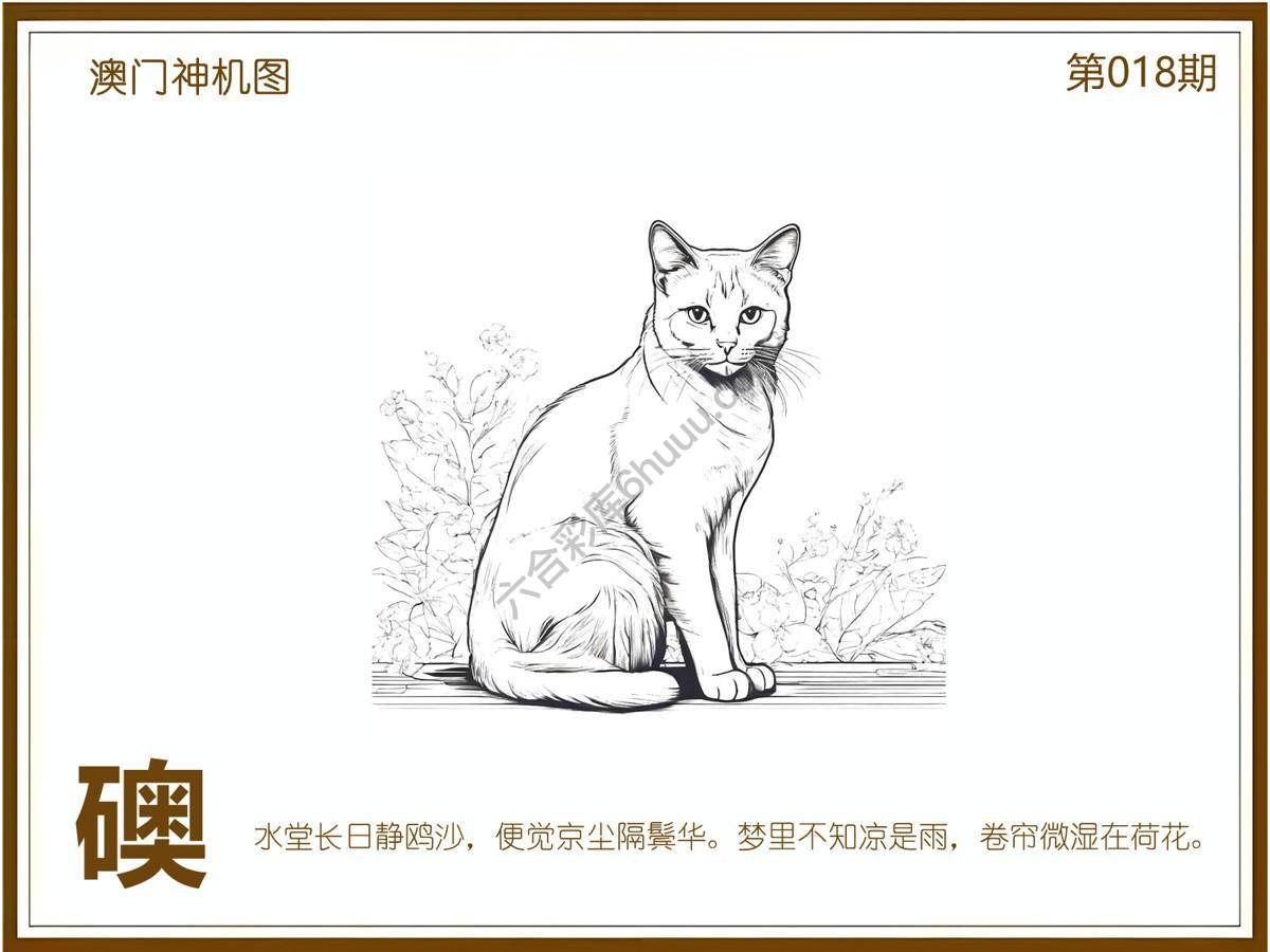 澳门神机图