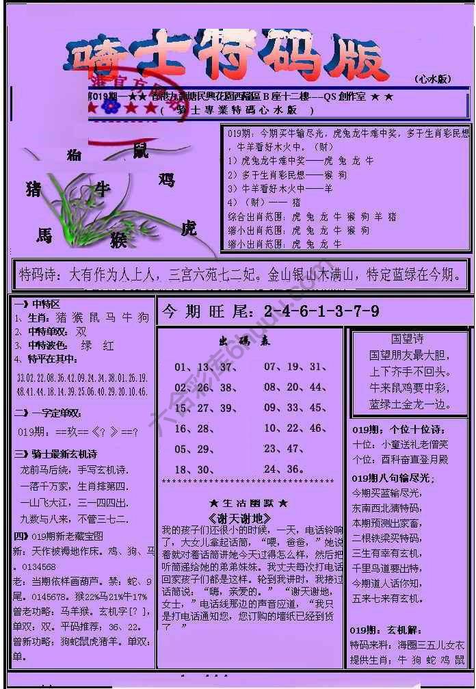 另类骑士特码版