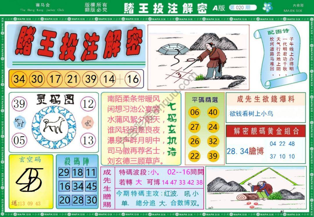 赌王投注解密