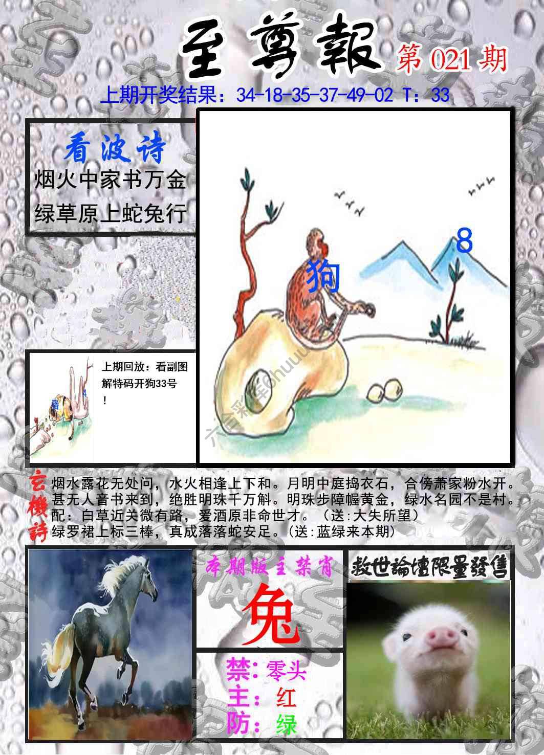 至尊报