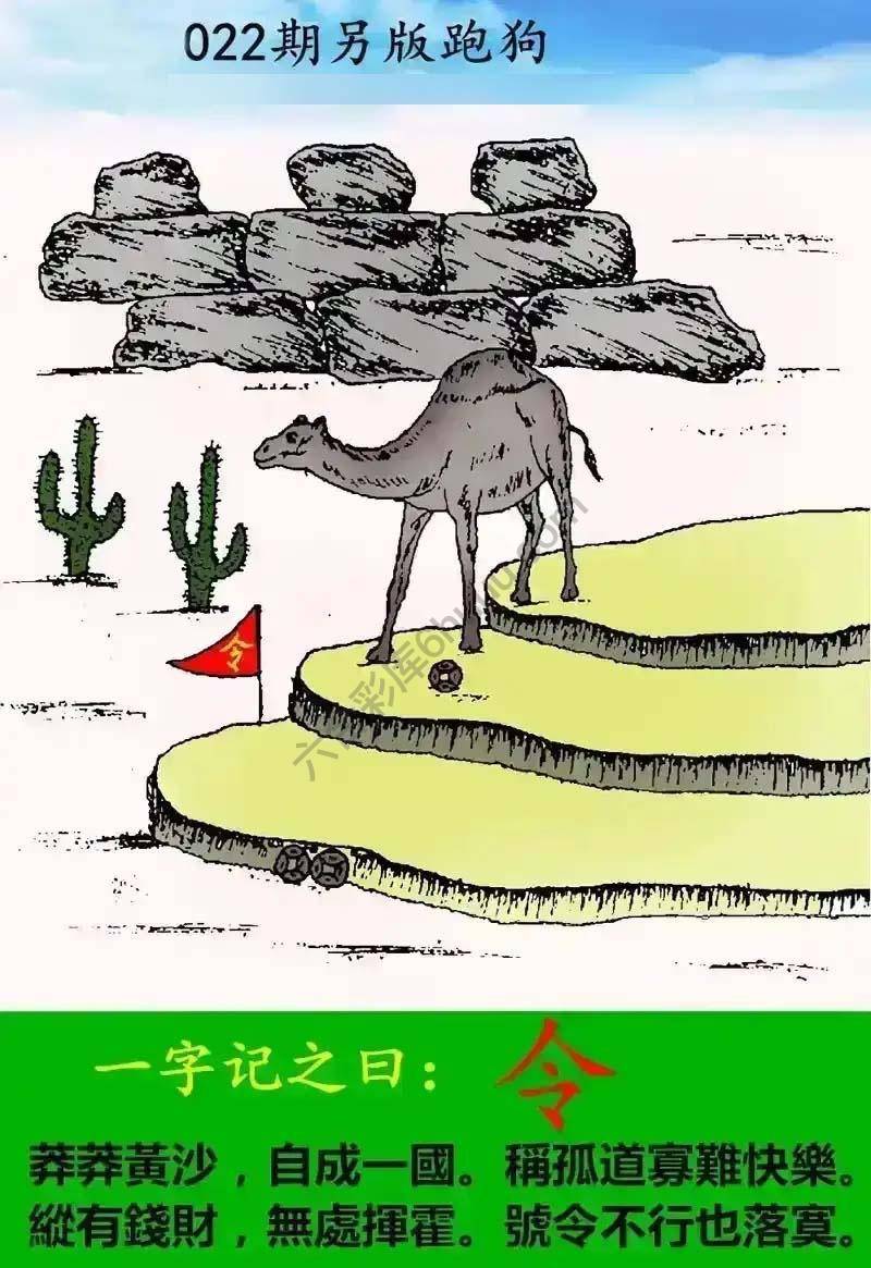 另版跑狗