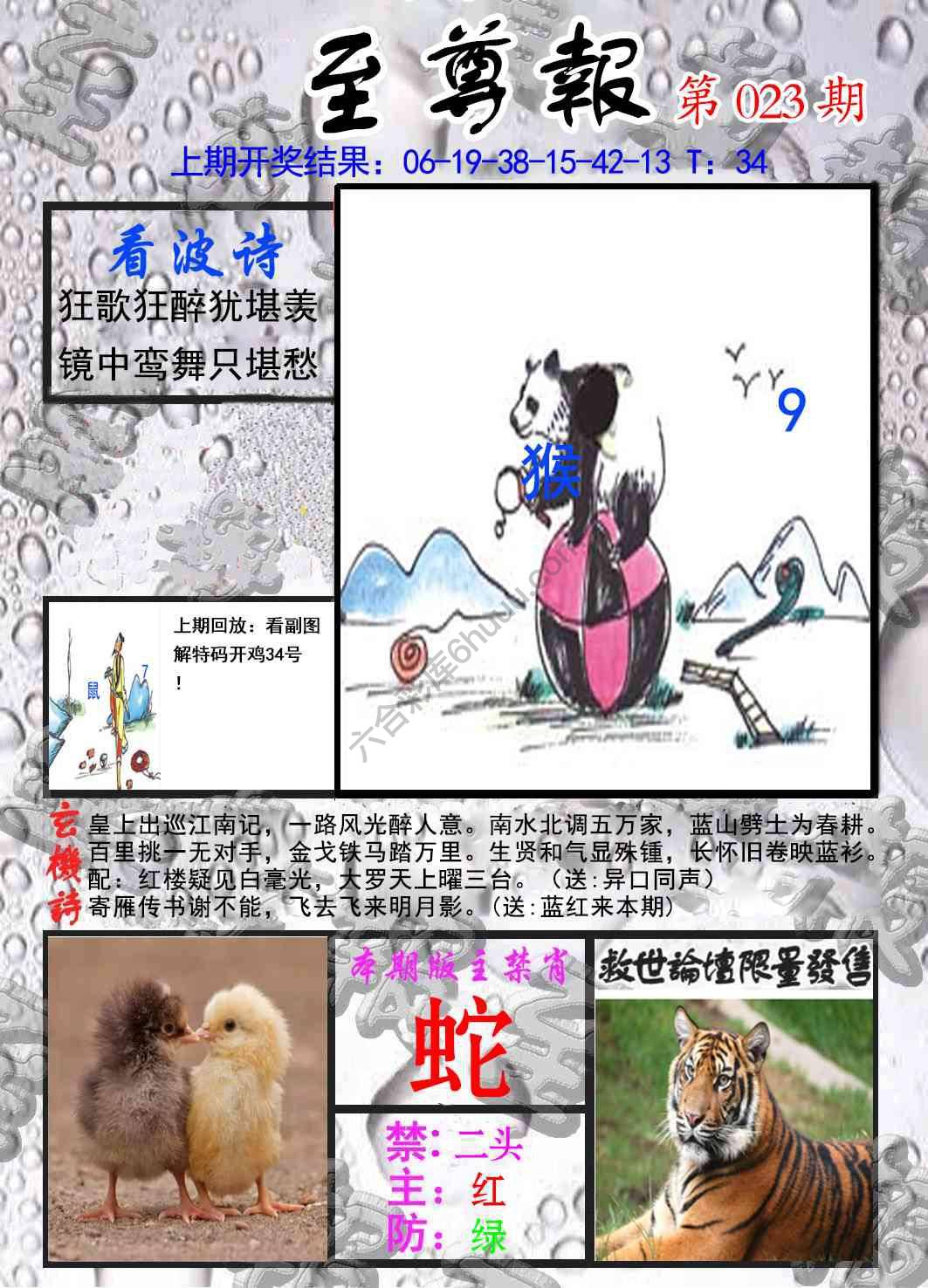 至尊报