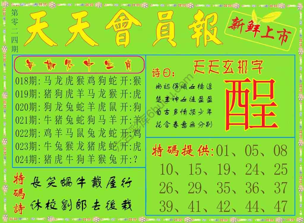 天天会员报