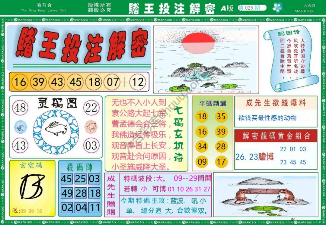 赌王投注解密