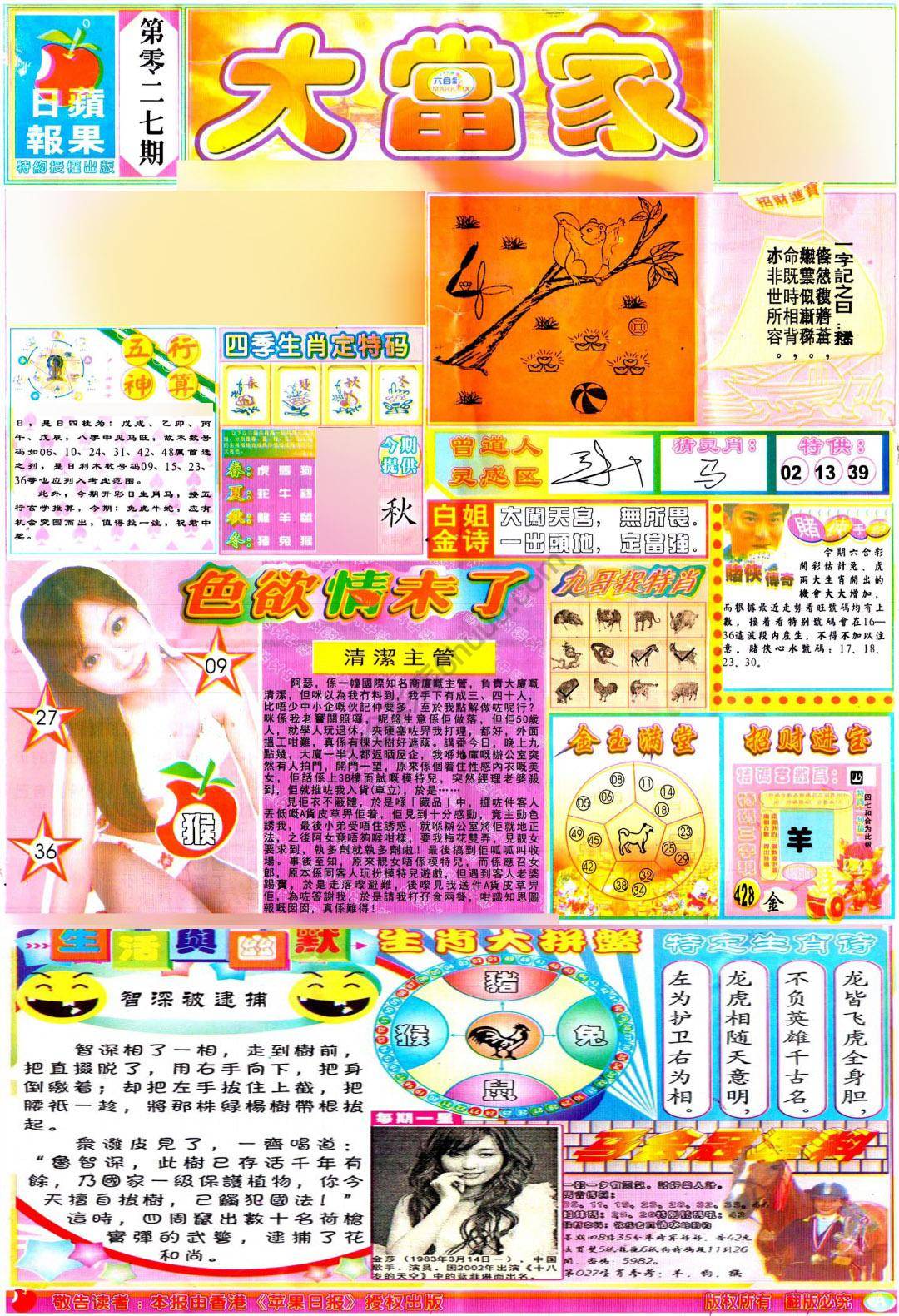 大当家