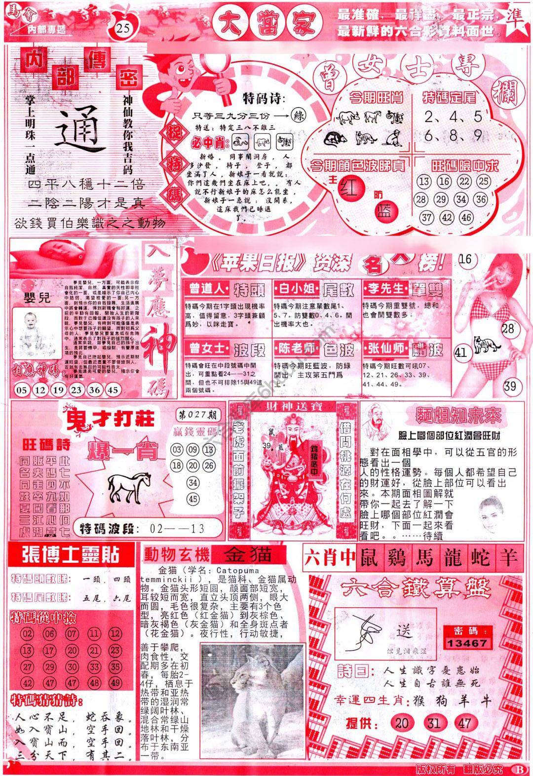 大当家