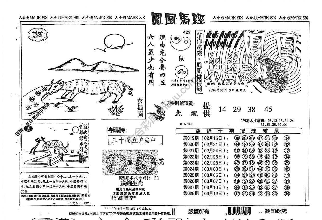 凤凰马经