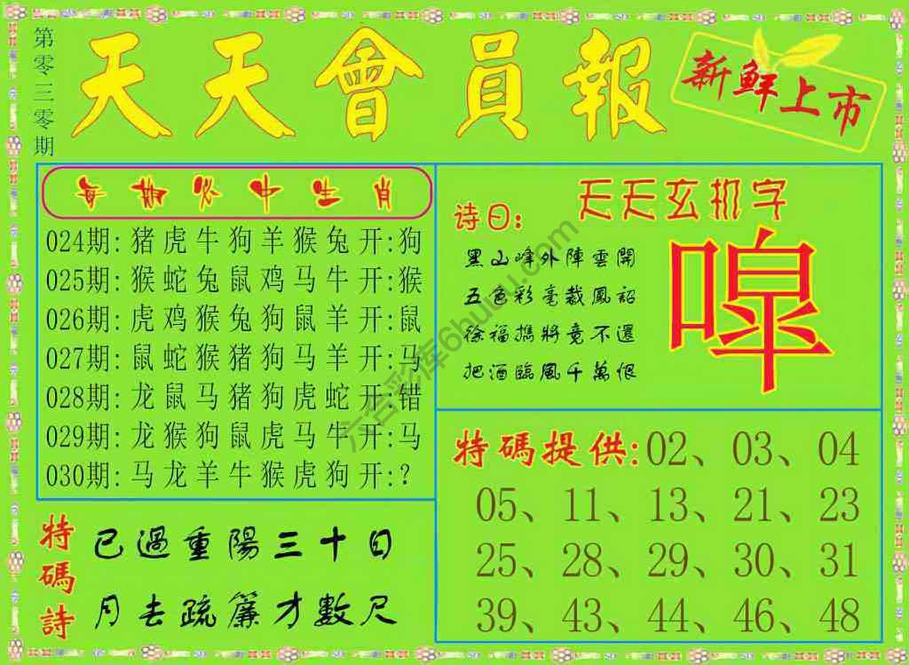 天天会员报