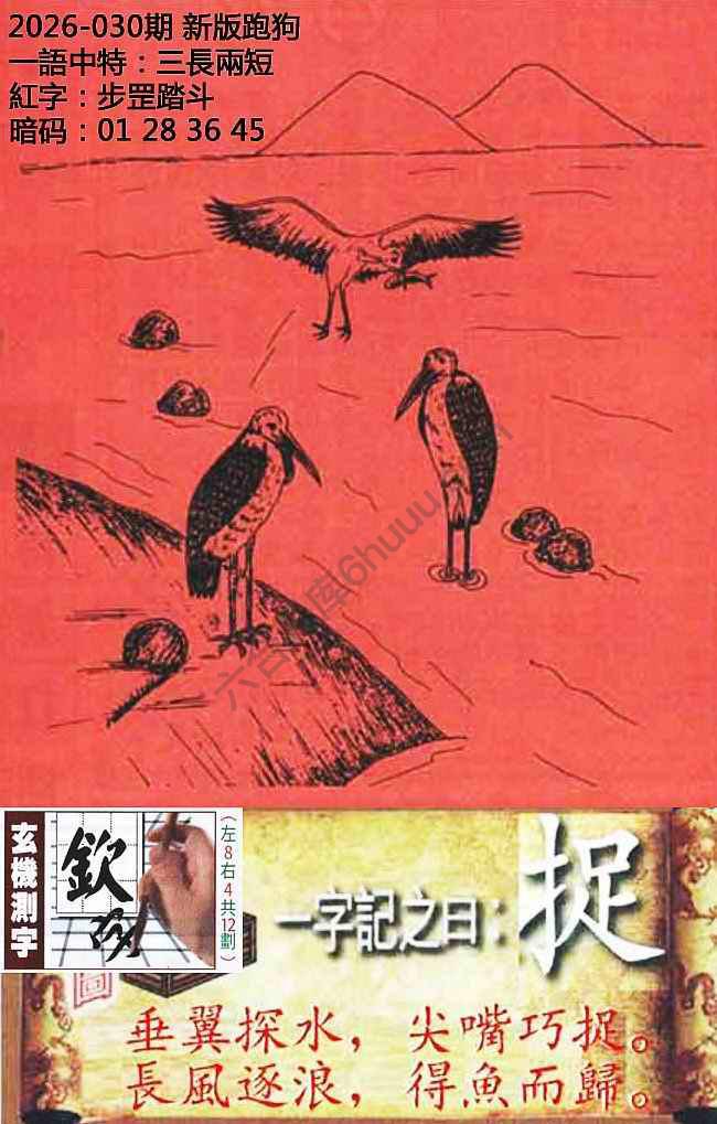 高清跑狗图