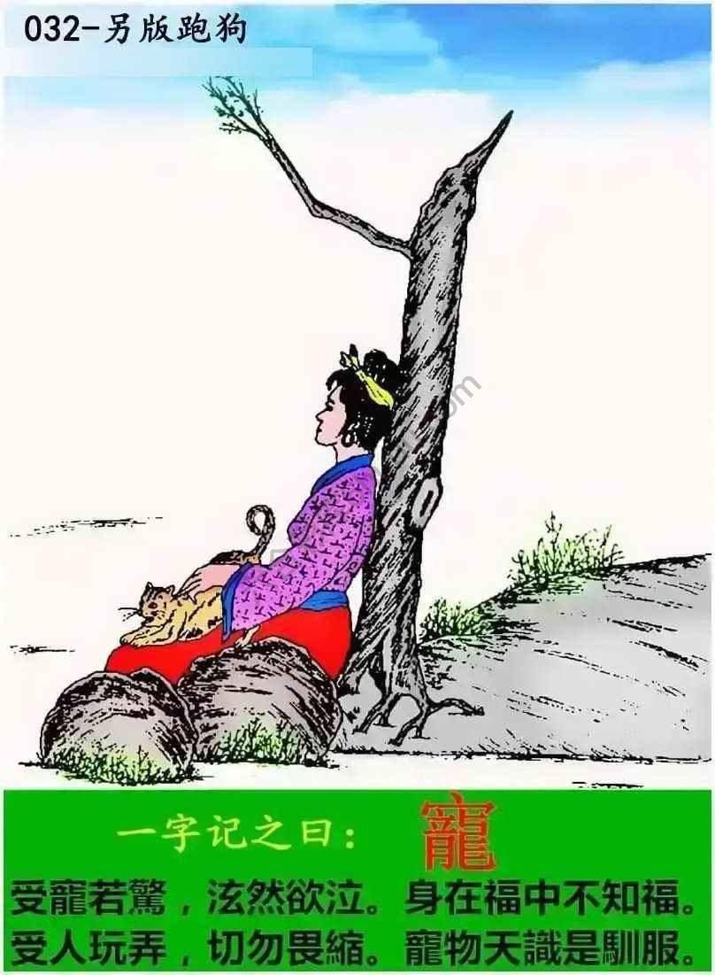 另版跑狗