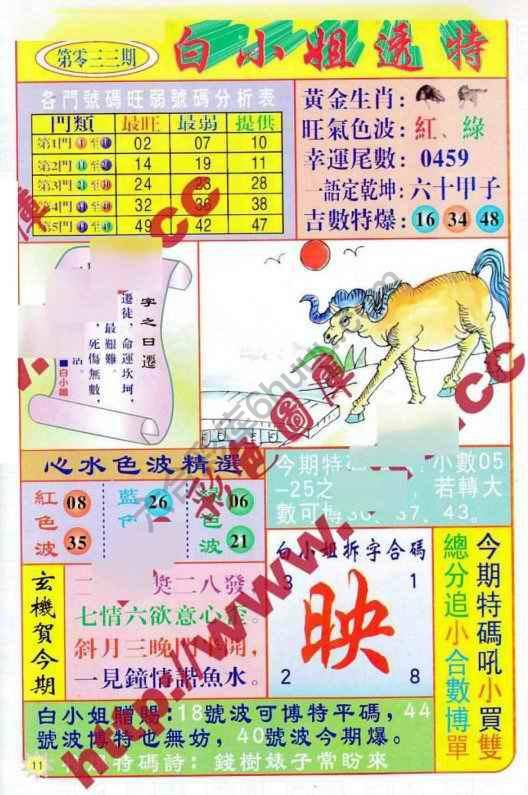 白小姐透特