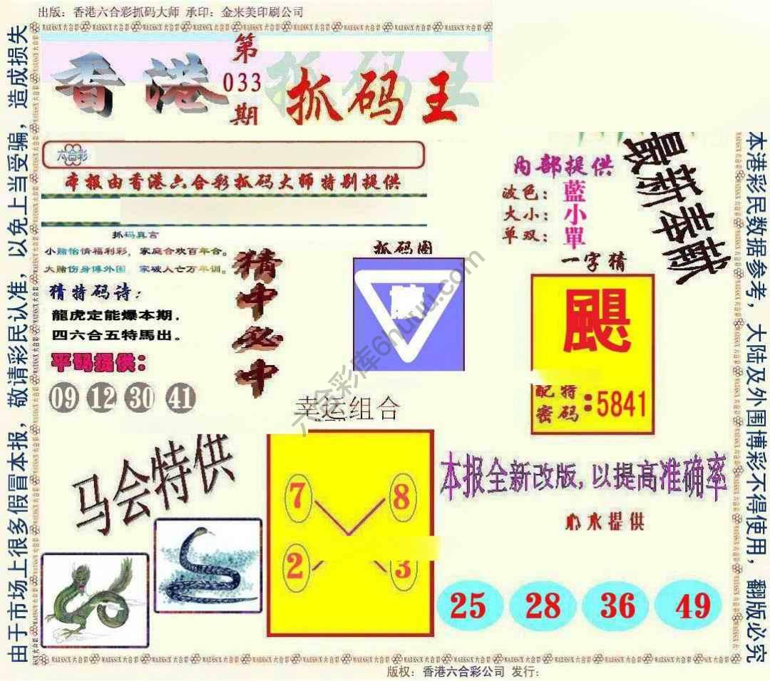 新抓码王