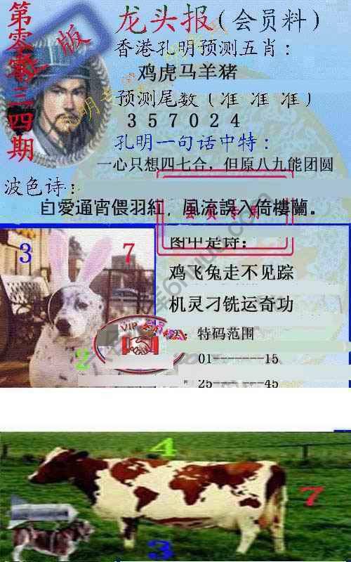 龙头报
