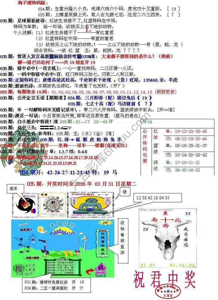 青龙五鬼报