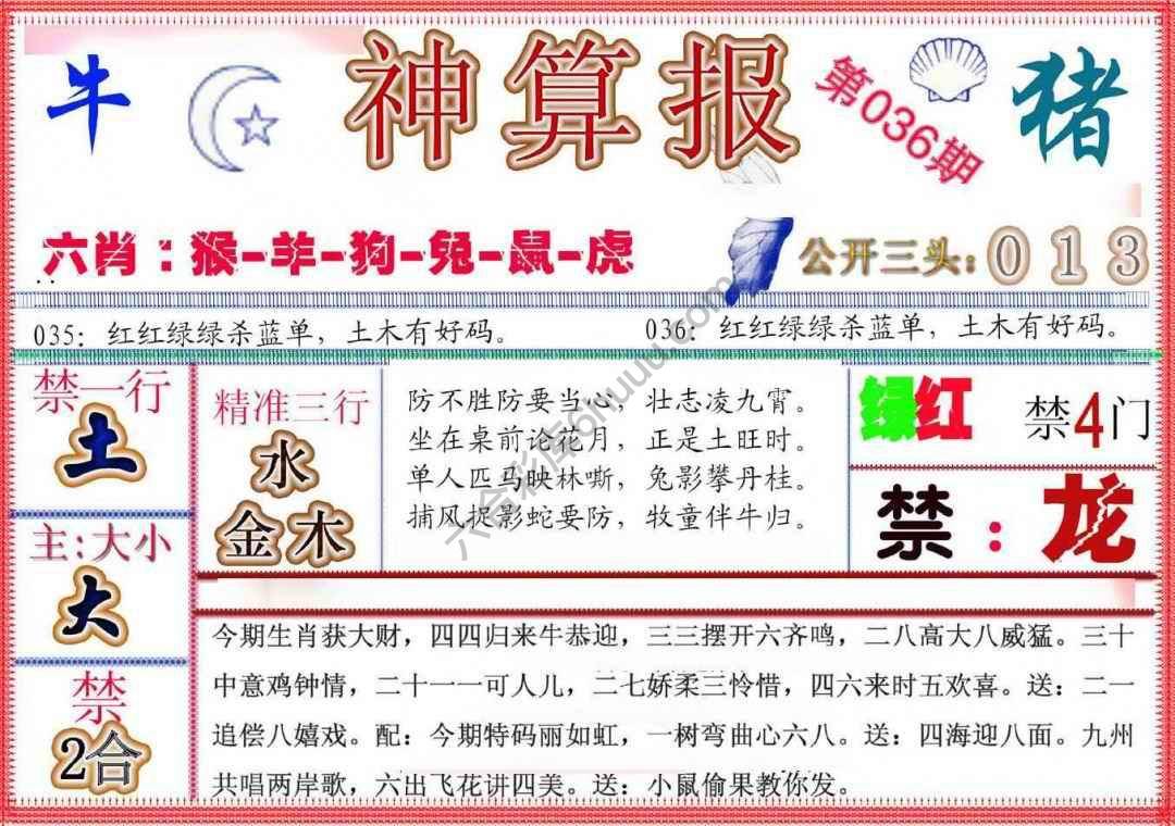 神算报新版