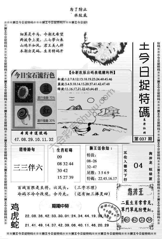 狮王今日抓特码