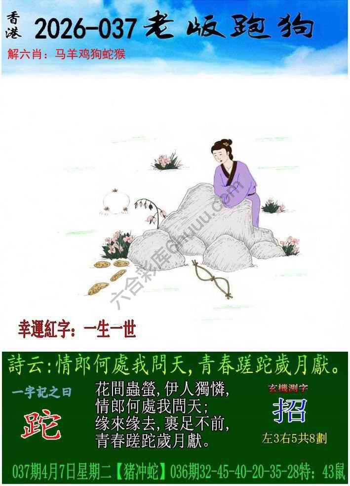 老版跑狗图