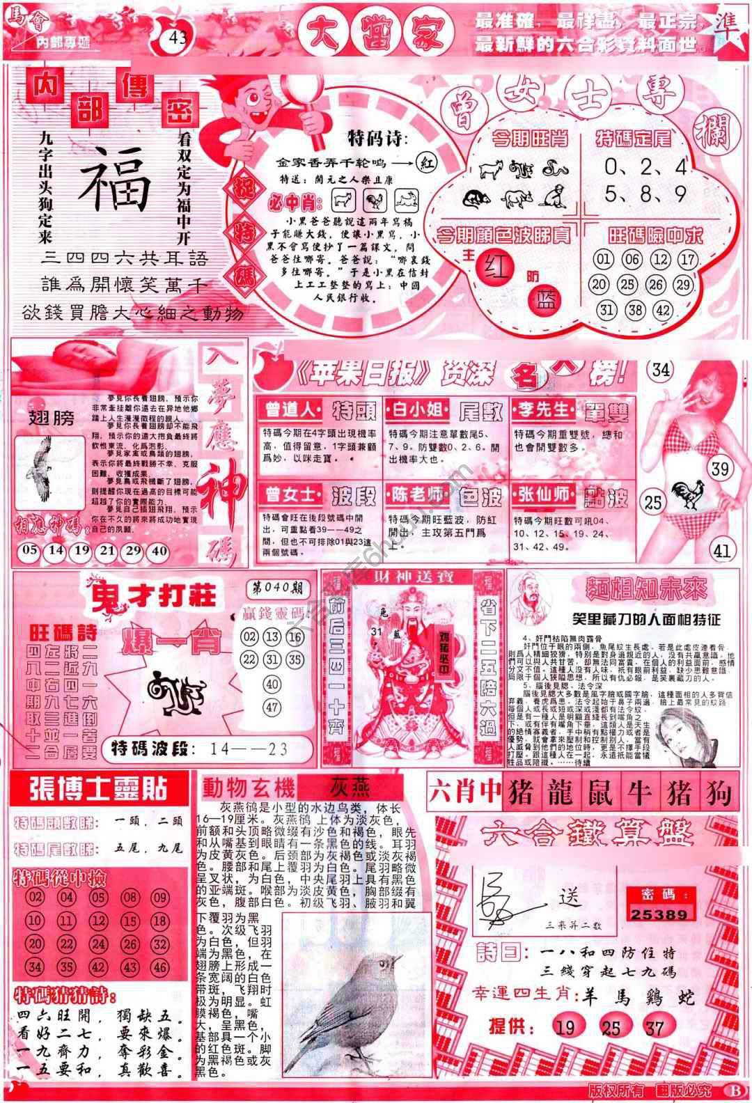 大当家