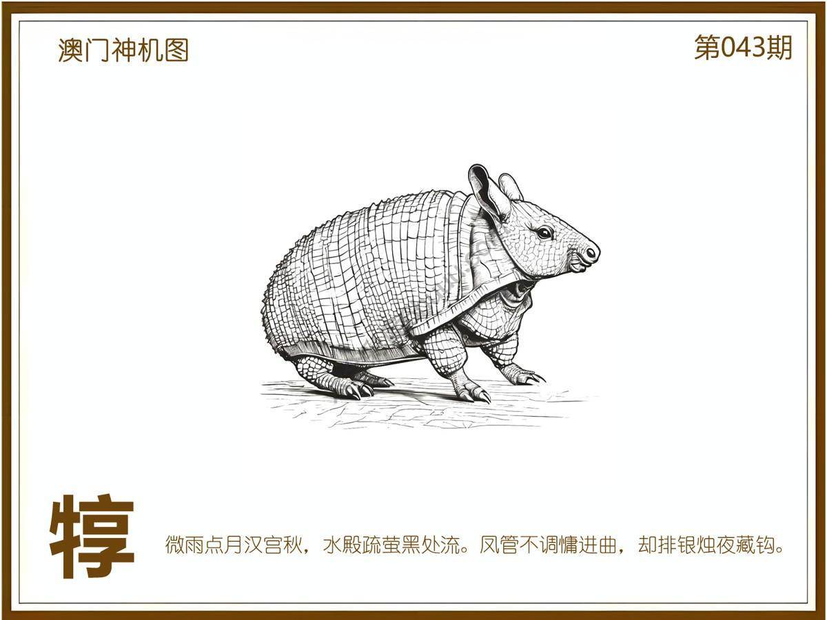 澳门神机图