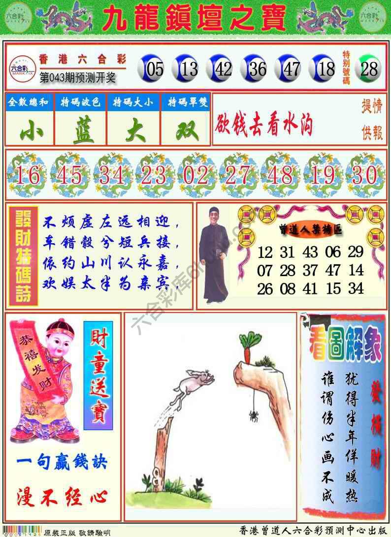 九龙挂牌解特码