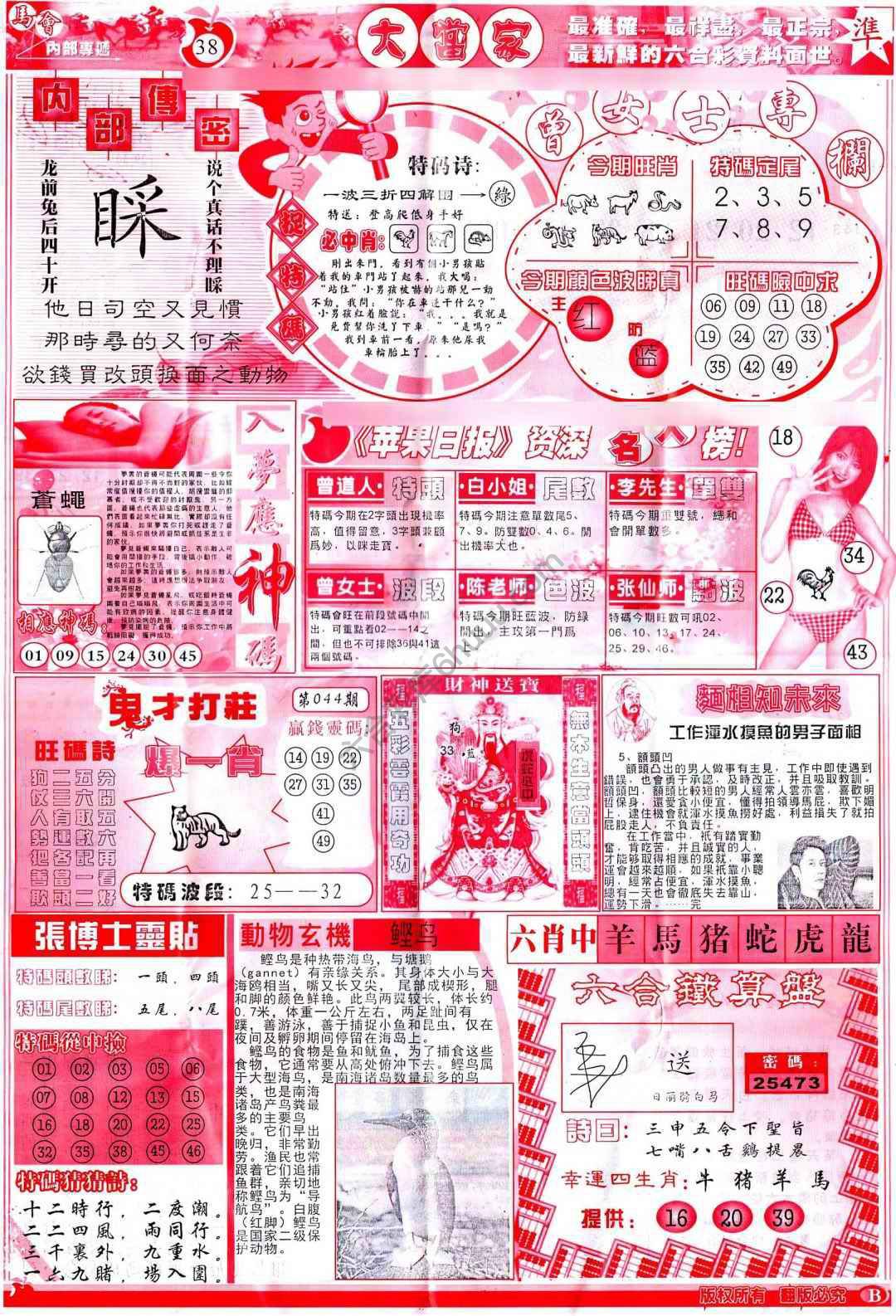 大当家