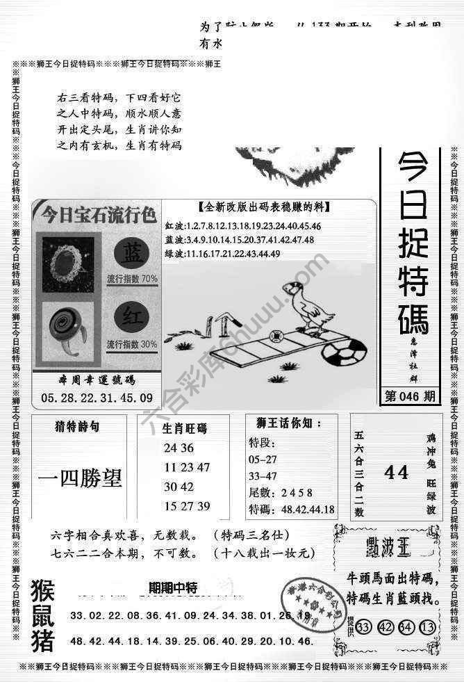 狮王今日抓特码