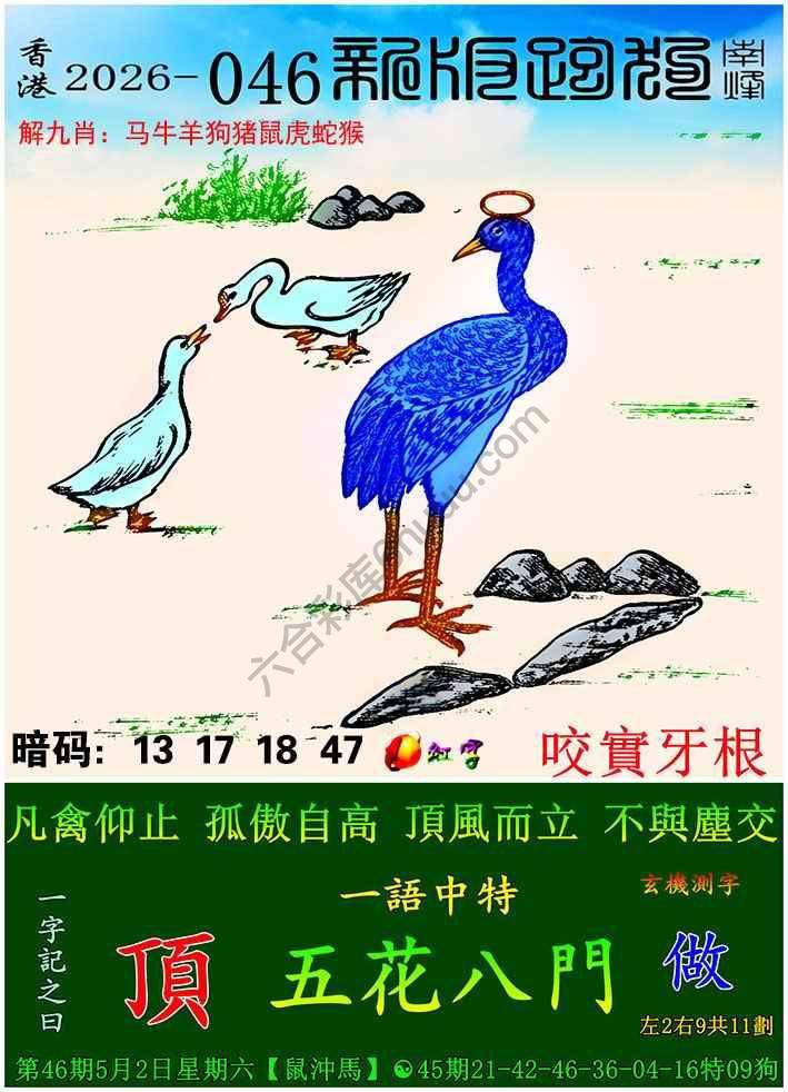 跑狗图（新版）